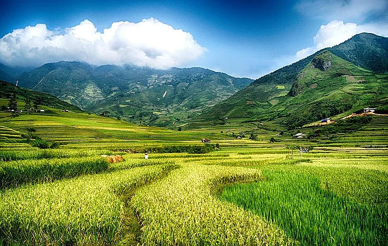 Lai Châu 2 Ngày 1 Đêm – Thác Tác Tình – Đồi Chè Tam Đường